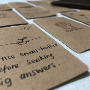 Pocket Truth Cards with Leather Holder - Daily Affirmations